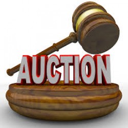 Auction Results Announcement (Sell Government Securities)