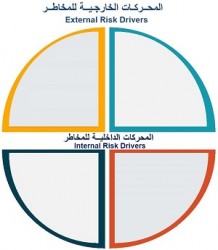 External and Internal Risk Drivers