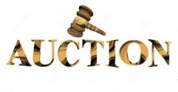 Announcement of Auction Results (E109) for the sale of CBI remittances