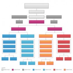 Organizational structure