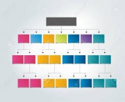 Organizational structure