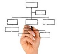 الهيكل التنظيمي لقسم إدارة الجودة