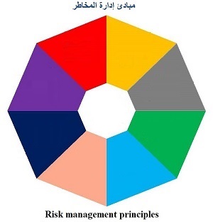 Risk management principles